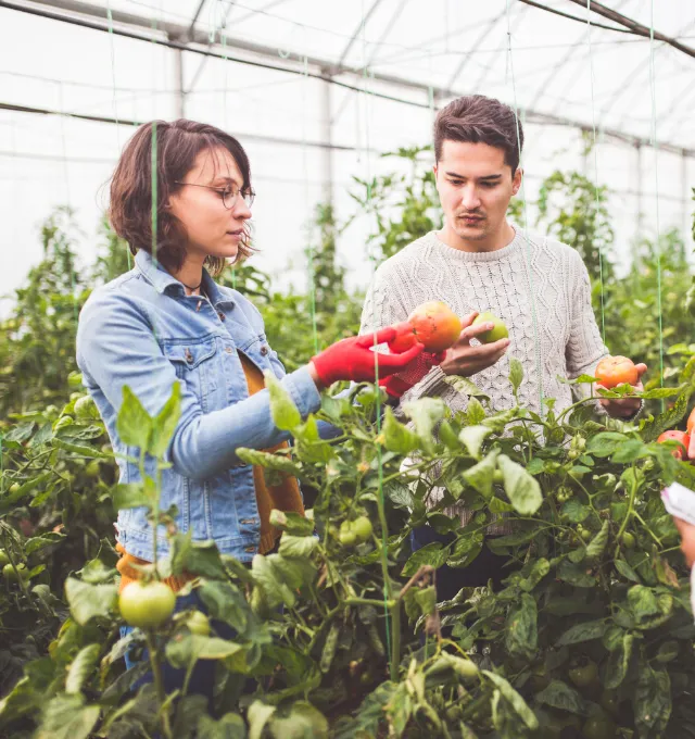 Farmers using digital tools
